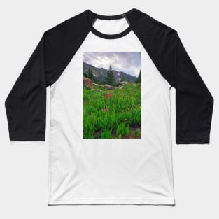 High Alpine Wildflowers Baseball T-Shirt